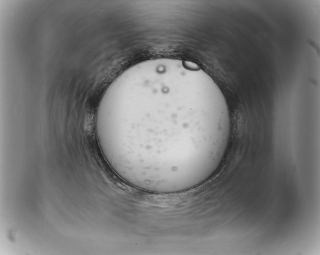 X0000102380033200808221812