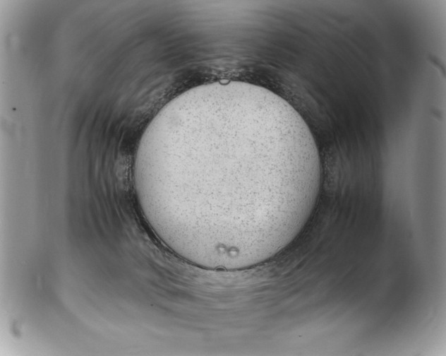 X0000102380034200808221812