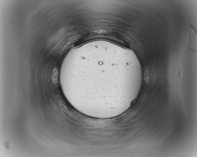 X0000102380036200808221812