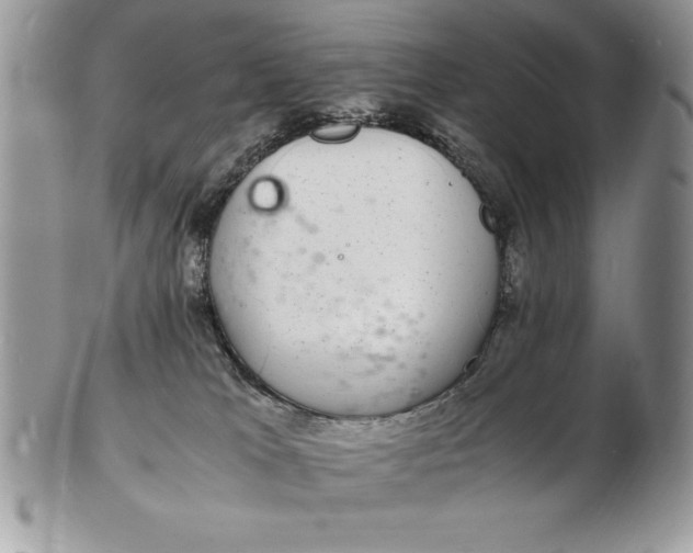 X0000102380037200808221812