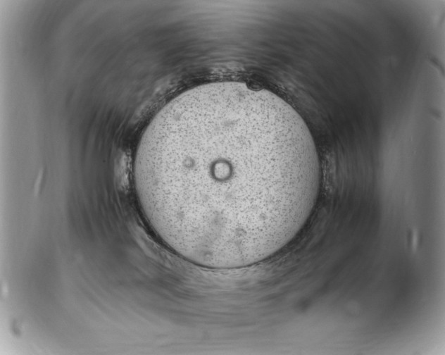 X0000102380038200808221812