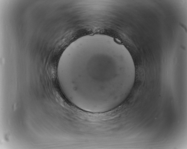 X0000102380039200808221812