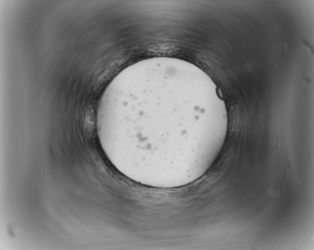 X0000102380040200808221812