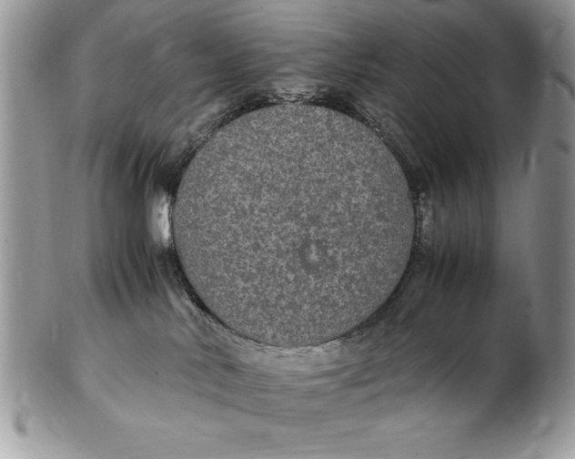 X0000102380042200808221812