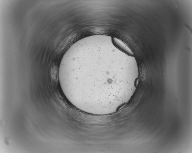 X0000102380044200808221812