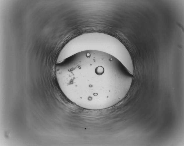 X0000102380045200808221812