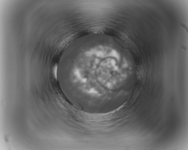 X0000102380047200808221812