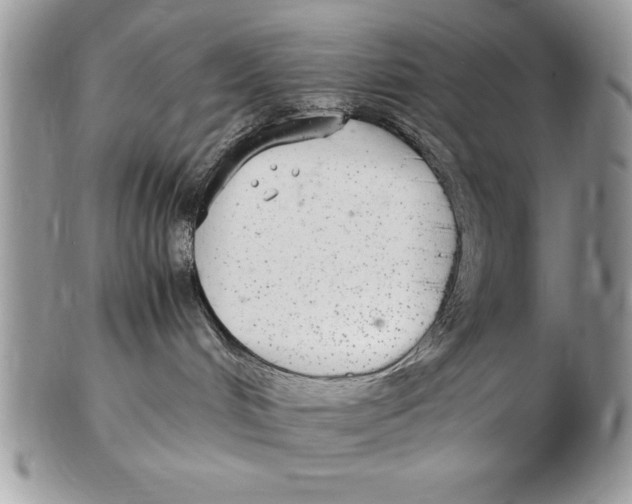 X0000102380048200808221812