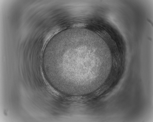 X0000102380049200808221811