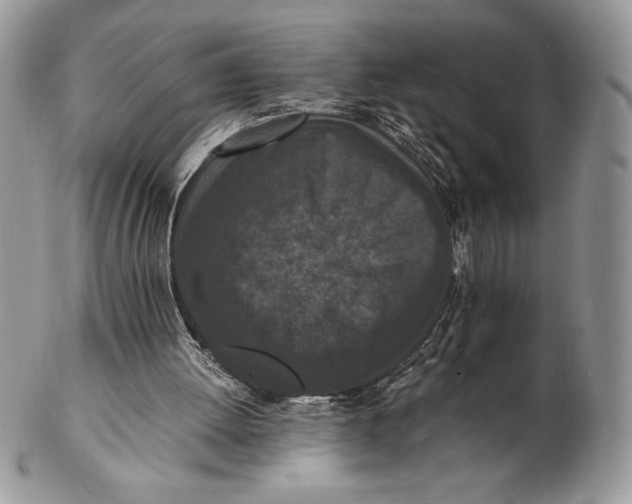 X0000102380052200808221811