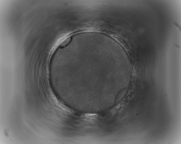 X0000102380055200808221811