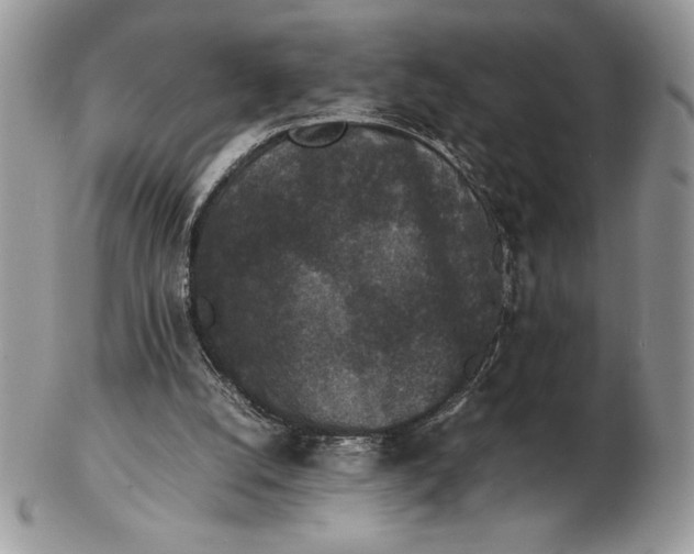 X0000102380056200808221811