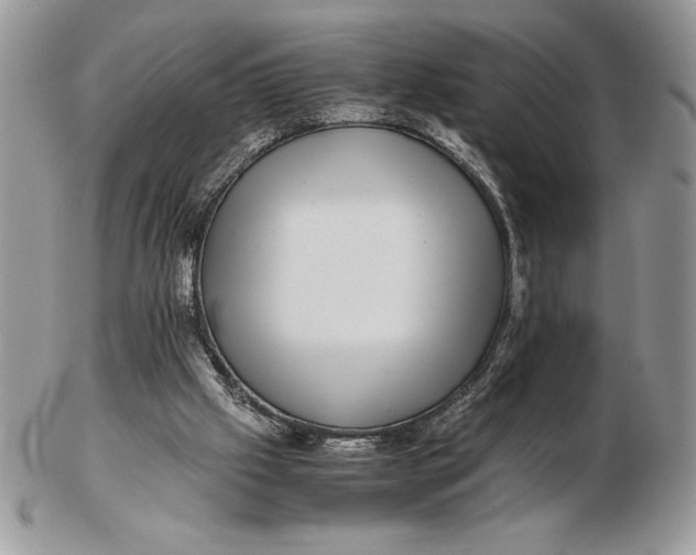 X0000102380057200808221811