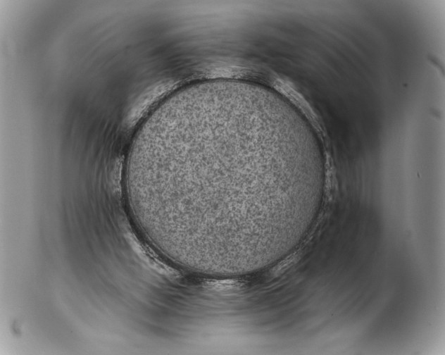 X0000102380058200808221811