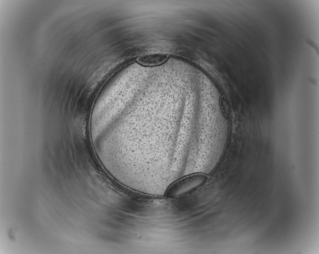 X0000102380060200808221811