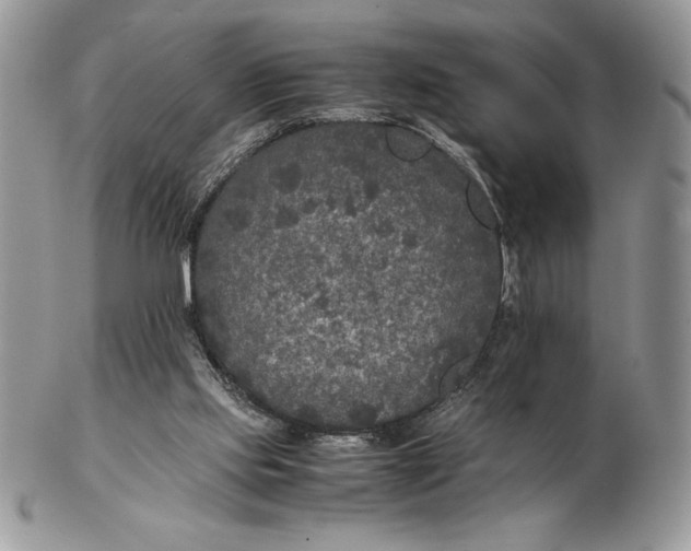 X0000102380061200808221811