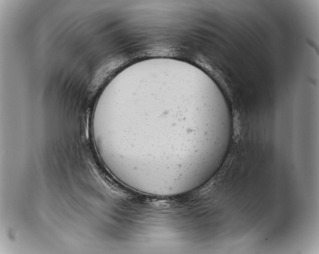 X0000102380062200808221811