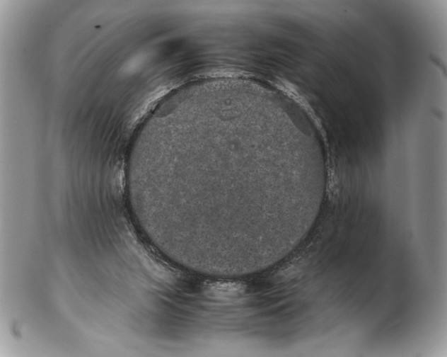 X0000102380063200808221811