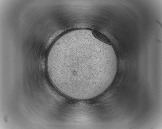 X0000102380064200808221811