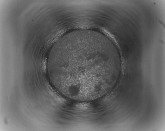 X0000102380065200808221811