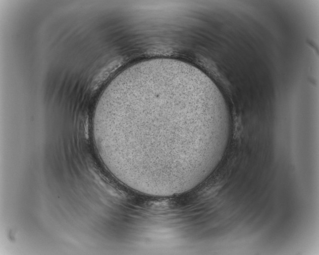 X0000102380068200808221811