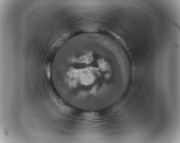 X0000102380069200808221811