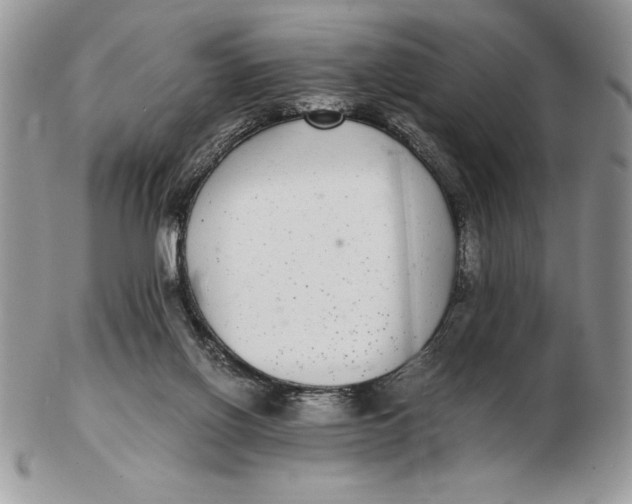 X0000102380070200808221811