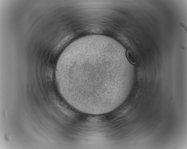 X0000102380072200808221811