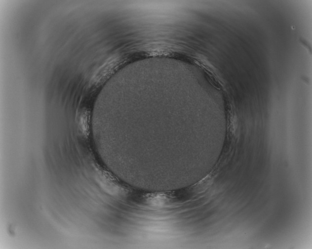 X0000102380074200808221811