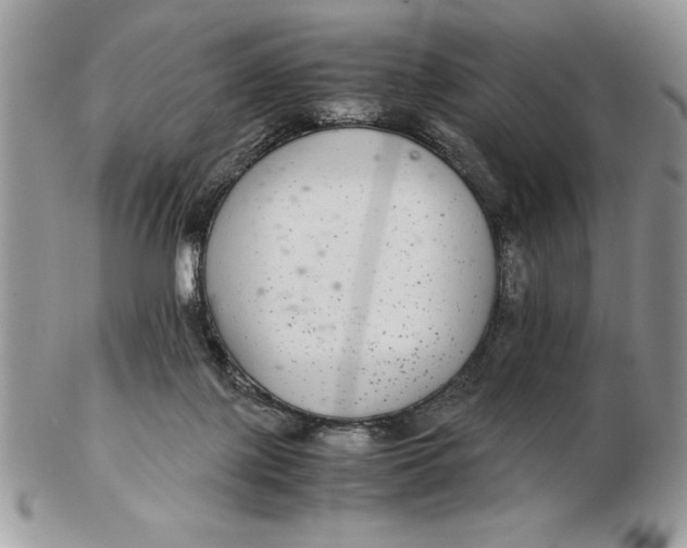 X0000102380075200808221811