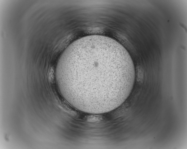 X0000102380077200808221811