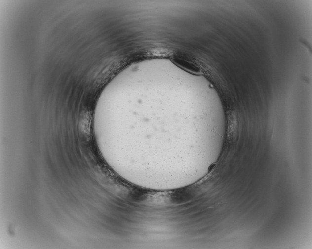 X0000102380078200808221811