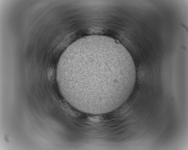 X0000102380079200808221811