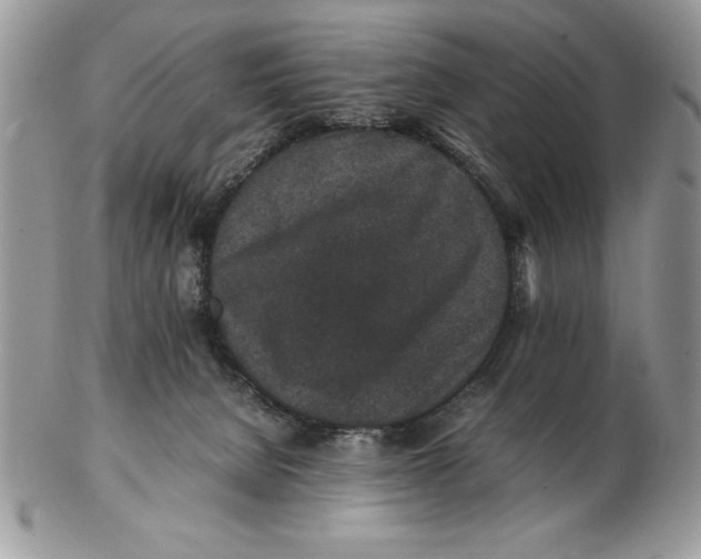 X0000102380080200808221811