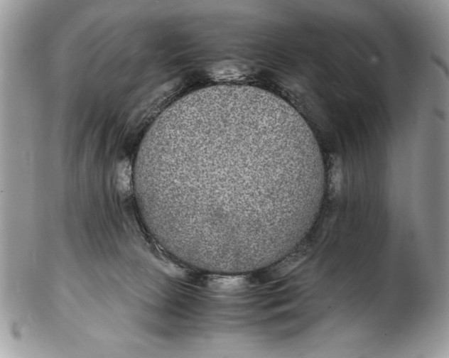 X0000102380081200808221811