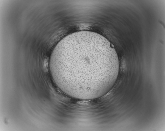 X0000102380082200808221811