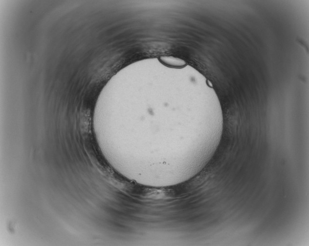 X0000102380083200808221811