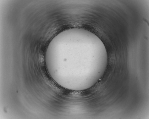 X0000102380084200808221811