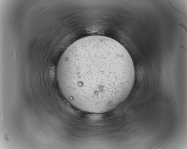 X0000102380085200808221811