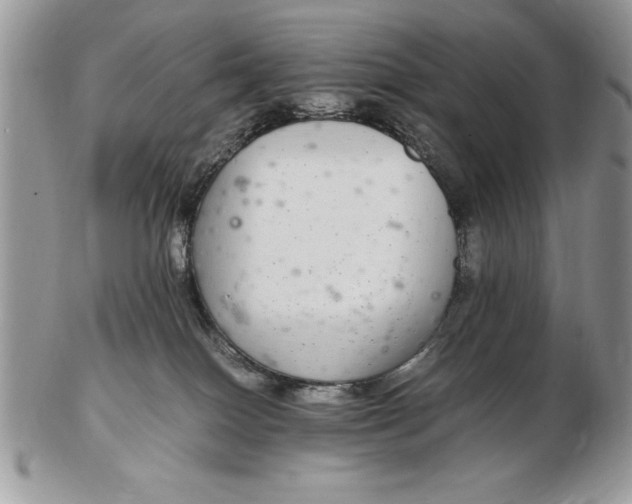 X0000102380086200808221811