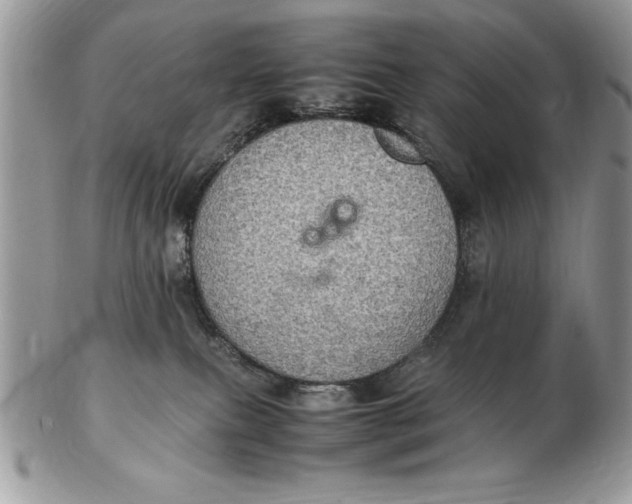 X0000102380087200808221811