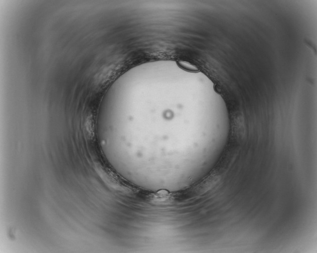 X0000102380088200808221811