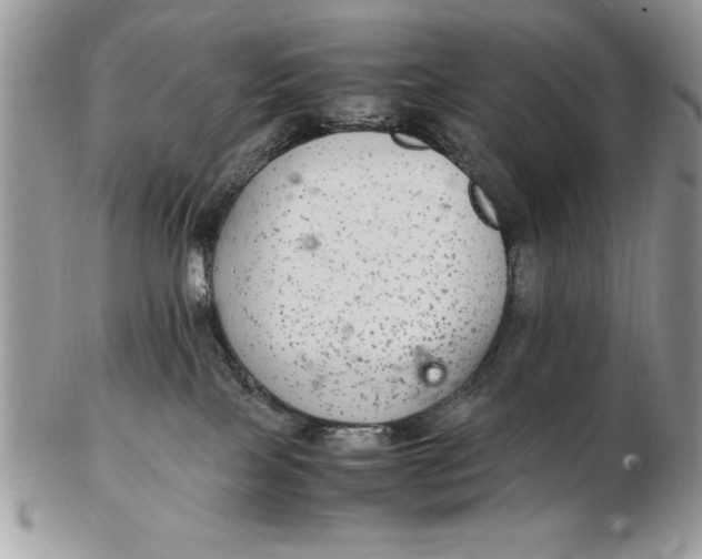 X0000102380089200808221811