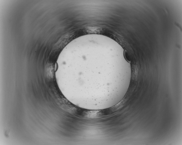 X0000102380090200808221811