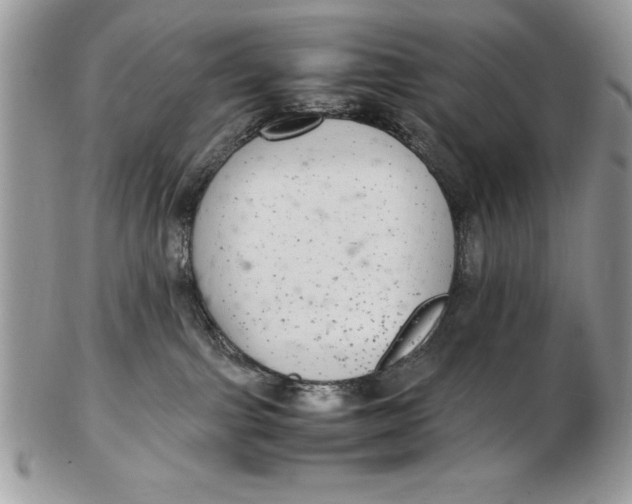 X0000102380091200808221811