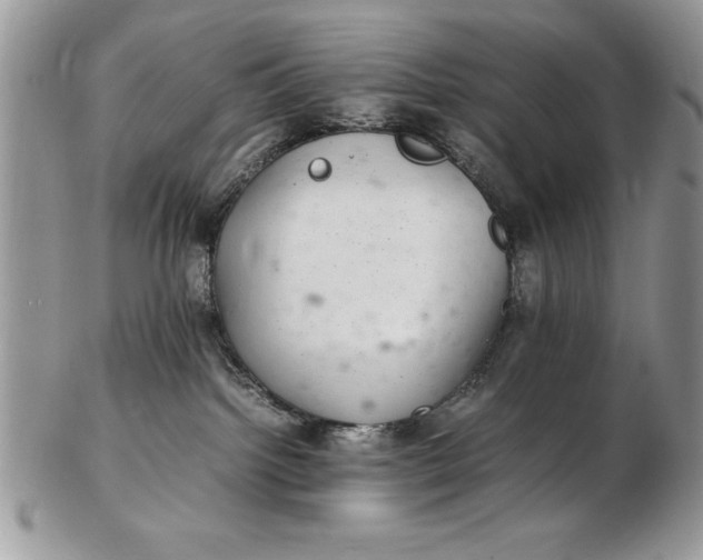 X0000102380092200808221811