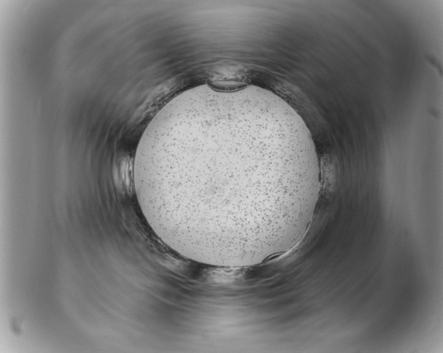 X0000102380094200808221811