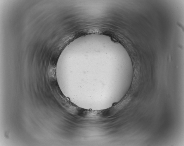 X0000102380096200808221812