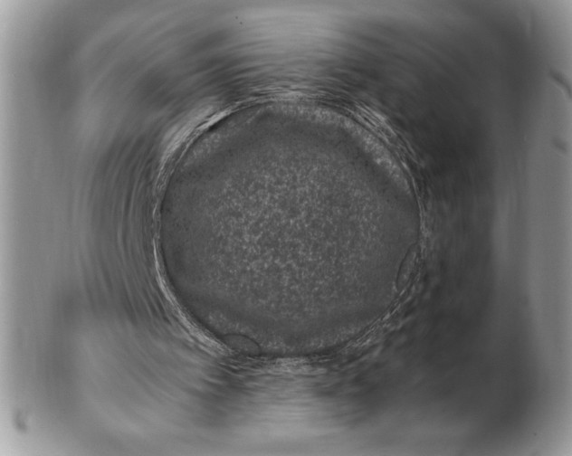 X0000102380097200808221811