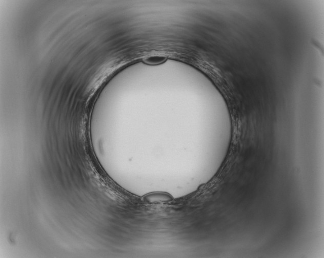 X0000102380098200808221811